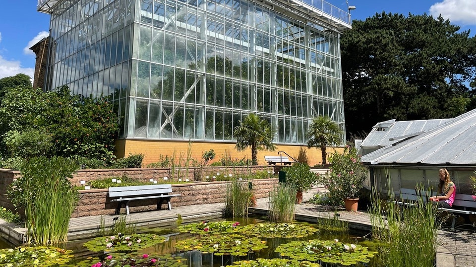 Ausflugstipp Botanischer Garten Halle MDR.DE