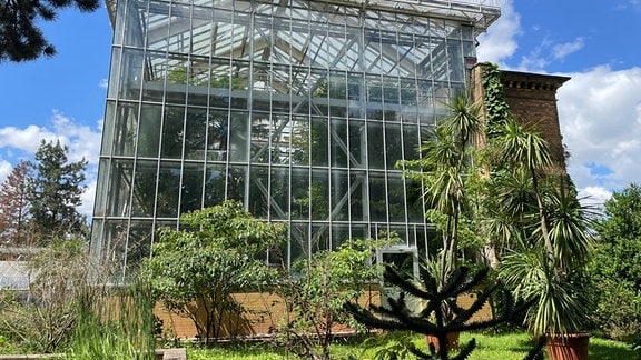 Außenansicht von der Seite des Tropenhauses im Botanischen Garten Halle mit Verwaltungsgebäude.
