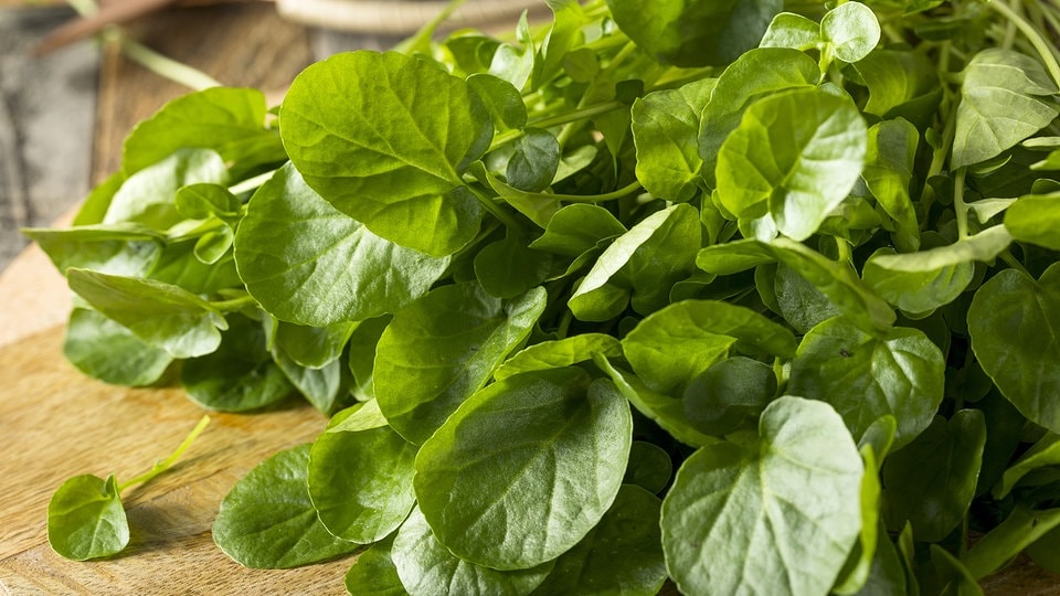 Dressing für einen Salat mit Brunnenkresse | MDR.DE