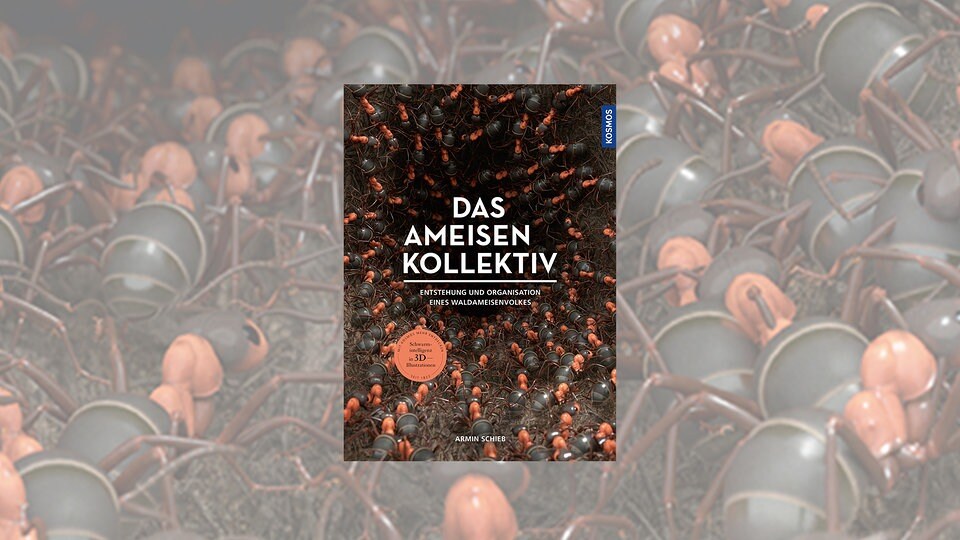 Buch des Monats Juli "Das Ameisenkollektiv" von Armin Schieb MDR.DE