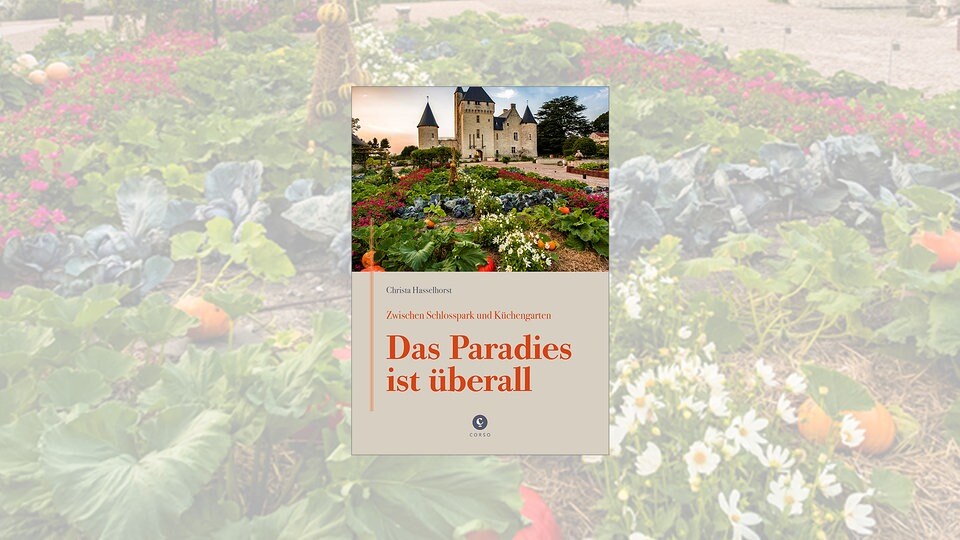Buchtipp "Das Paradies ist überall" von Christa Hasselhorst MDR.DE