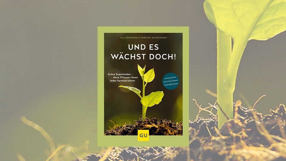 Mdr Garten Buecher Gartengestaltung Idee