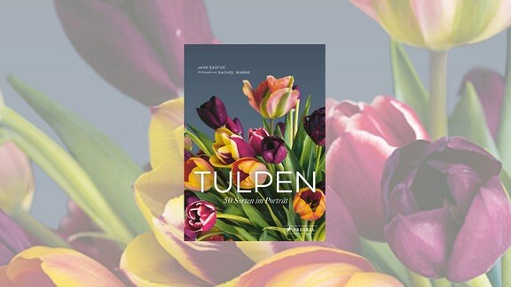 Buchcover Tulpen - 50 Sorten