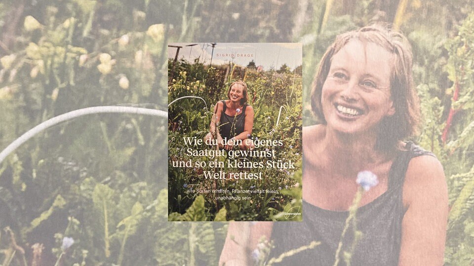 Buchtipp "Wie du dein eigenes Saatgut gewinnst" von Sigrid Drage MDR.DE
