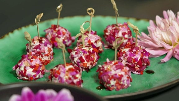 Frischkäse-Bällchen mit Dahlienblüten