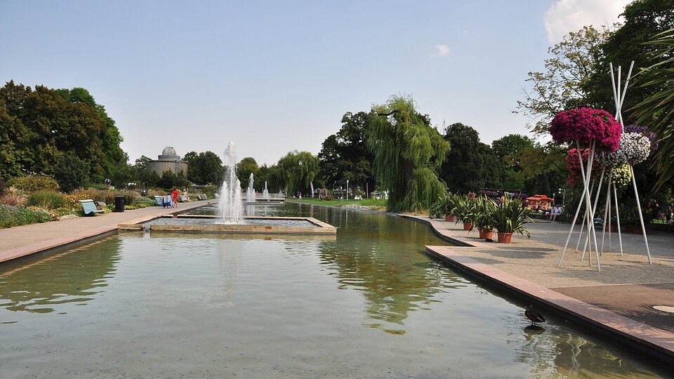 Der MDR Gartenmeister als Dokusoap MDR.DE