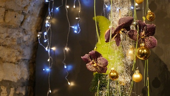 Orchideen und Lichterketten in der Ausstellung Florales zur Weihnachtszeit im Domfelsenkeller Erfurt