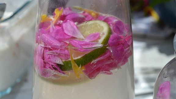 In einer Wasserkaraffe ist Rosenlimo angerichtet. Auf dem Getränk schwimmen Limetten und Rosenblätter. 