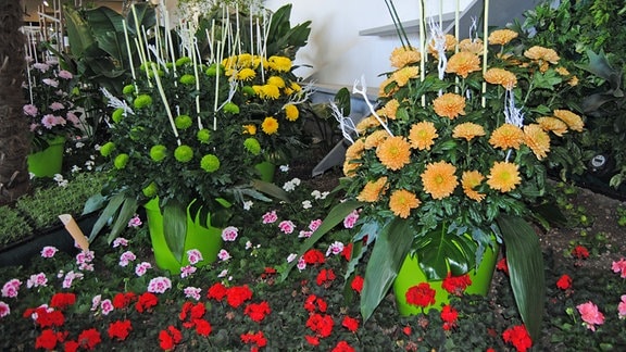 Blumen-Gestecke bei Floristik-Hallenschau zur Buga 2021
