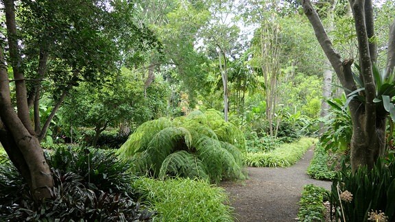 Parkimpression des Botanischen Gartens in Puerto de la Cruz (Teneriffa)