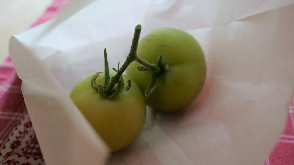 Grüne Tomaten nachreifen lassen MDR.DE