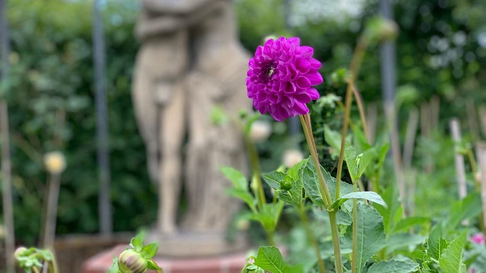 Hessens Schönste Gärten Mediathek Drei Garten Offnen