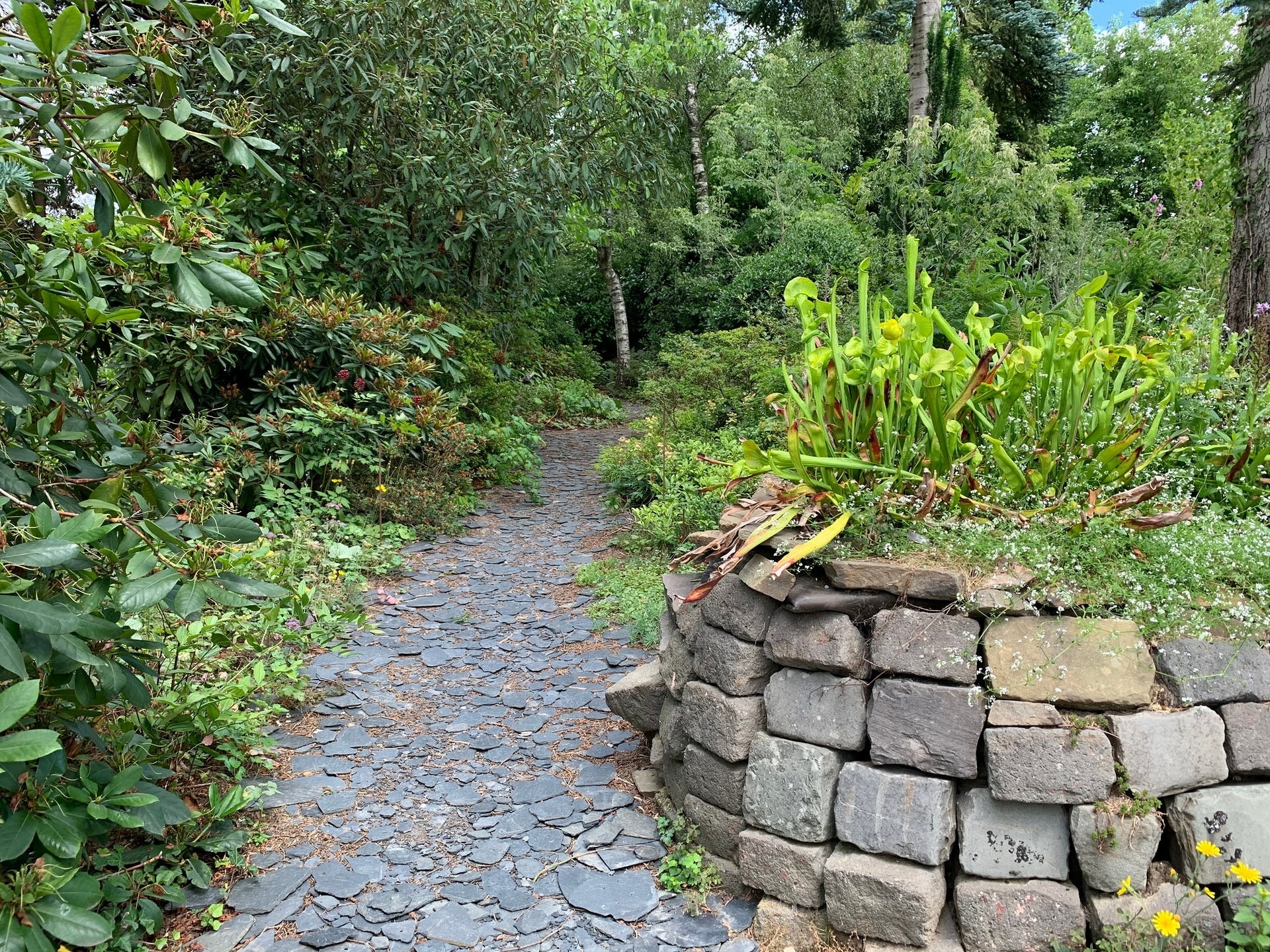 Ein Rundgang durch den Garten Ulbrich in Solingen MDR.DE