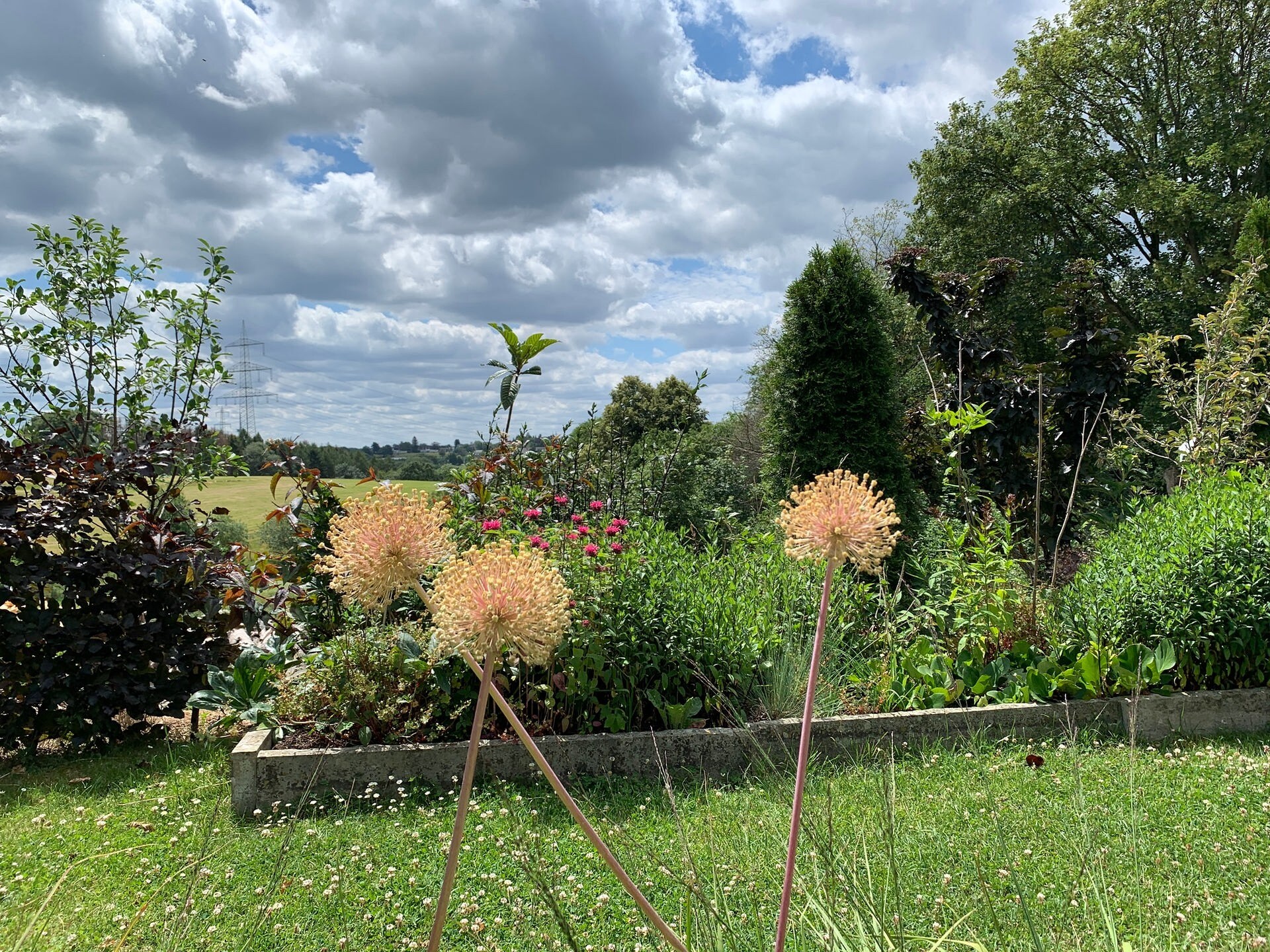 Ein Rundgang durch den Garten Ulbrich in Solingen MDR.DE