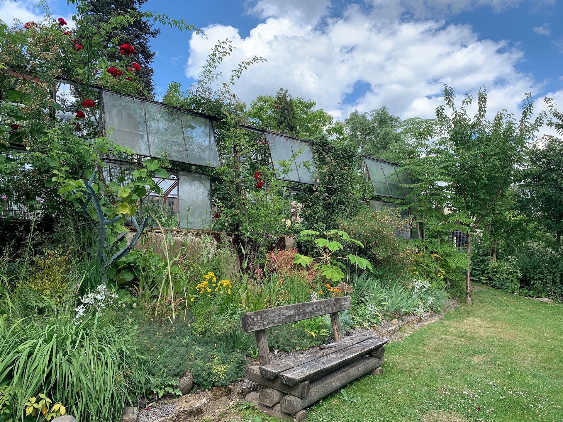 Ein Rundgang durch den Garten Ulbrich in Solingen MDR.DE