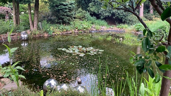 Blick in den Garten Ulbrich in Solingen, Gartenteich.