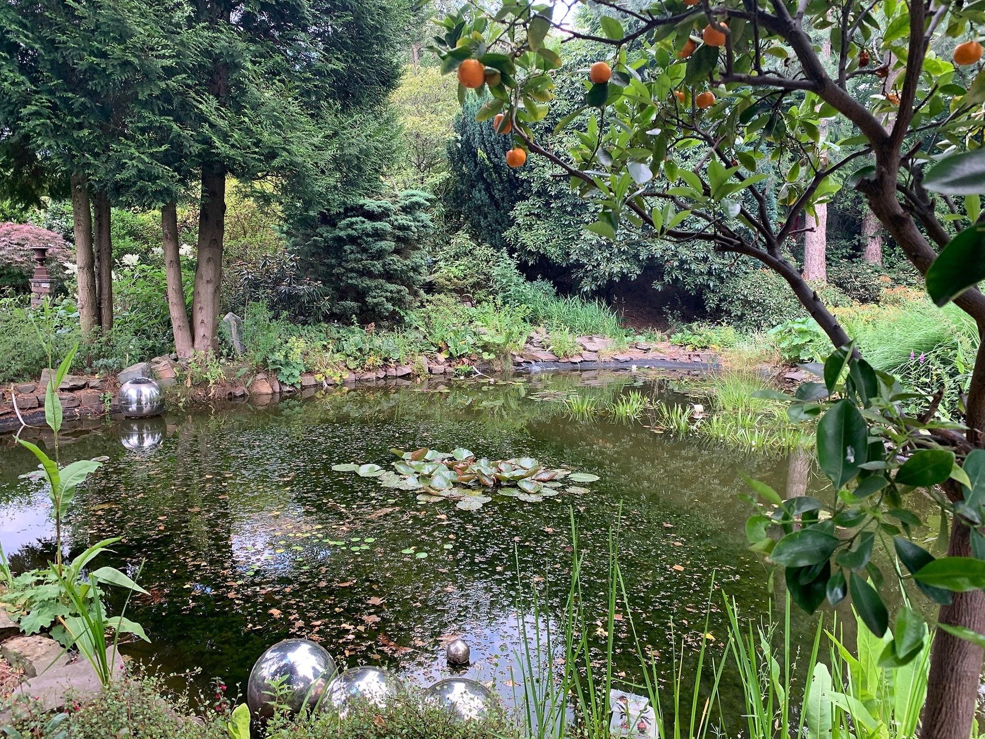 Ein Rundgang durch den Garten Ulbrich in Solingen MDR.DE