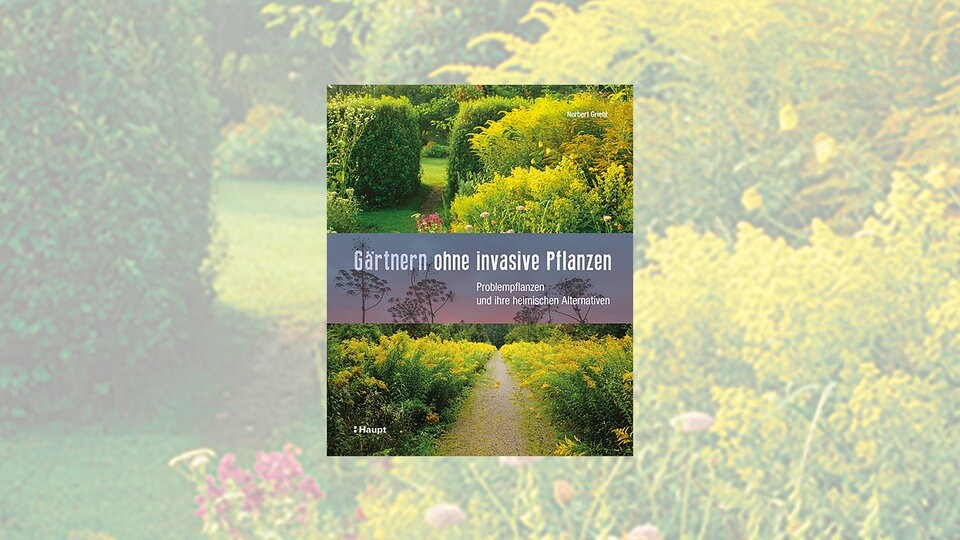 Buchtipp "Gärtnern ohne invasive Pflanzen" von Norbert Griebl MDR.DE