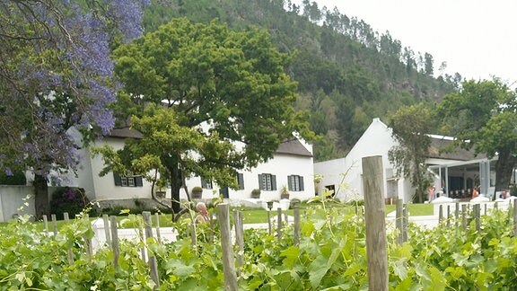 Ein Weingut in der Nähe von Stellenbosch in Südafrika. 