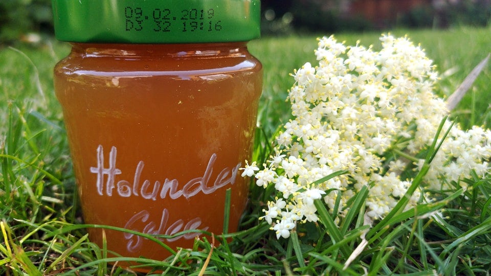 Rezept für Holunderblüten-Gelee mit Apfelsaft | MDR.DE