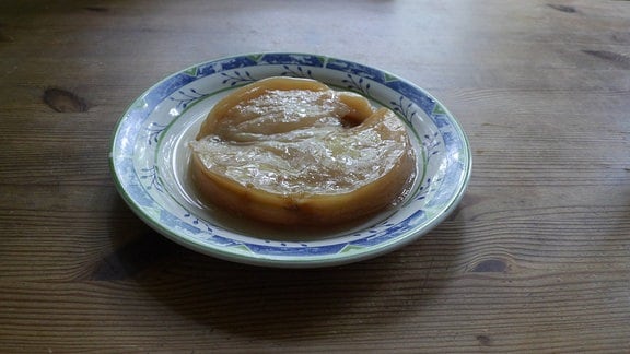 Ein Kombucha-Teepilz liegt auf einem Teller.