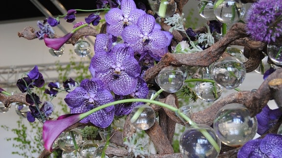 Blumen-Gesteck mit Orchideen bei Floristik-Hallenschau zur Buga 2021