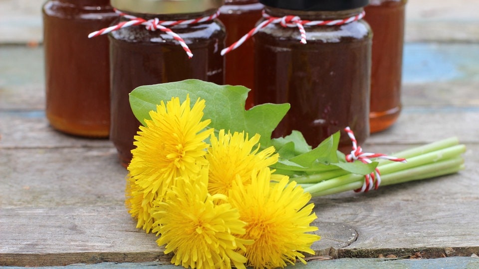 Löwenzahnhonig: Rezept für süßen Brotaufstrich | MDR.DE