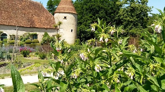 Schlossgarten in Burgund