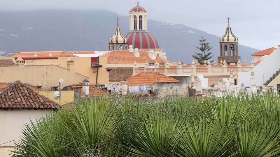 Teneriffa Insel des ewigen Frühlings MDR.DE