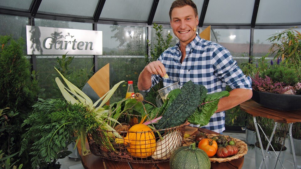 Rezept Smoothie für OlympiaSieger MDR.DE