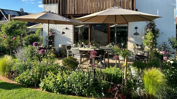 Ein Garten mit zwei großen Sonnenschirmen vor einem Haus.