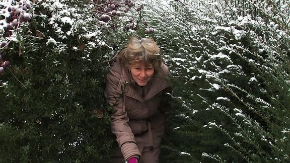 Eine Frau geht durch eine schneebedeckte Hecke.
