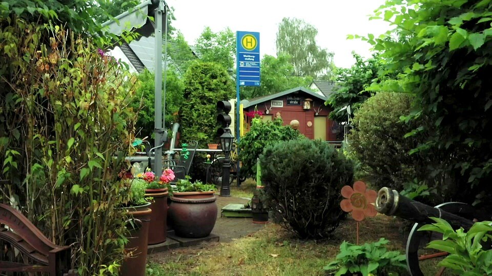 Traumgarten mit Rosen, Gartenteich und Bushaltestelle MDR.DE