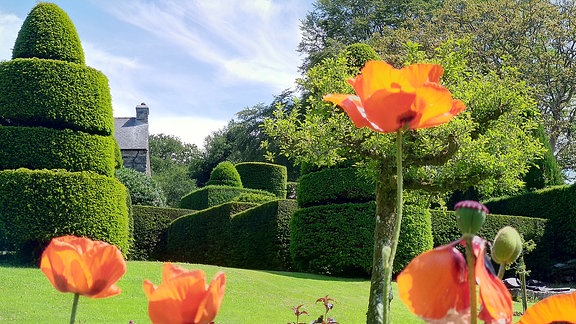 Ein Englischer Garten in Wales