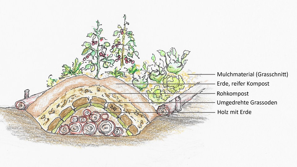 No Dig, Kraterbeet, Hügelbeet Vorteile verschiedener Beetformen MDR.DE