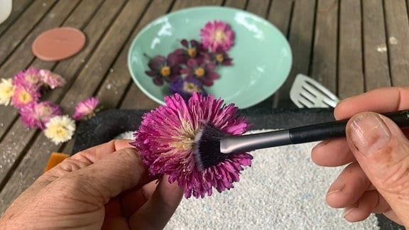 Getrocknete Blüten mt Pinsel reinigen