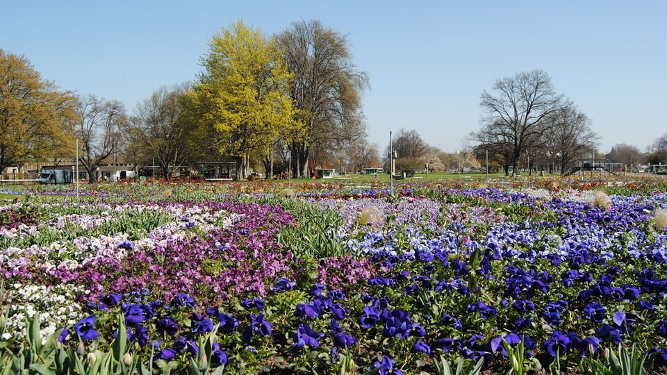 Leichte Sprache Sehr viele Menschen waren schon bei der BundesGarten
