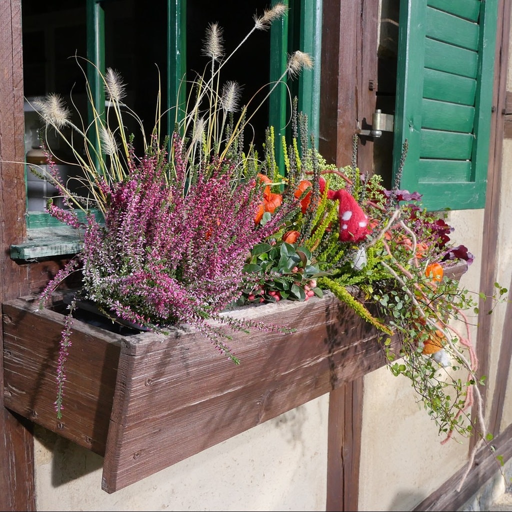 Herbst Und Winter Auf Balkon Und Terrasse Mdr De