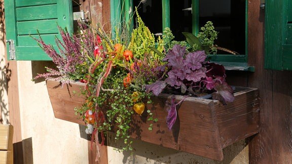 Blumenkasten für Herbst und Winter. 