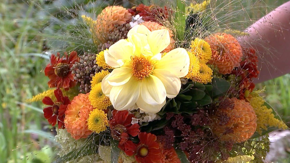 Floristik Einen Blumenstrauß mit Dahlien gestalten MDR.DE