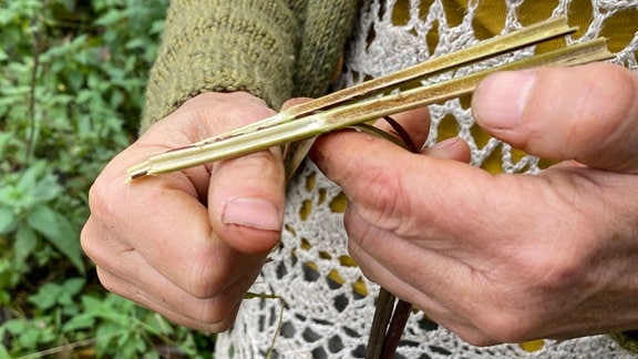 Brennnesselfasern gewinnen und verarbeiten