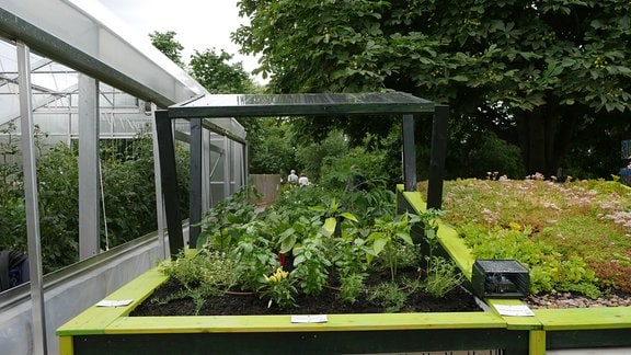 Musterbeet für den Gemüseanbau auf dem Dach mit Solarpanel