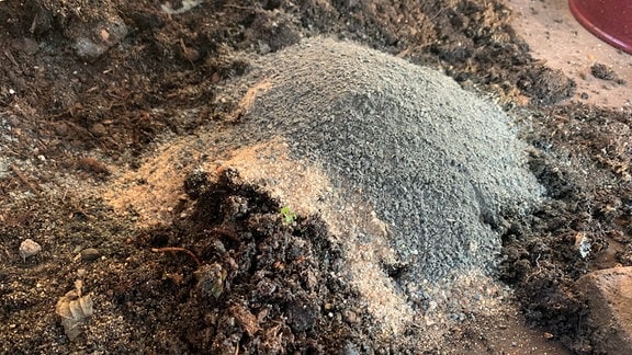 Gemisch aus normaler Pflanzerde, Sand und mineralische Bestandteile (hier Basalt)