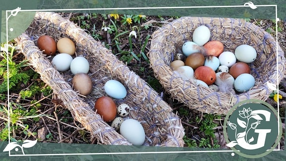 Ein länglicher und ein runder Korb, die aus Gräsern geflochten wurden, enthalten Eier.