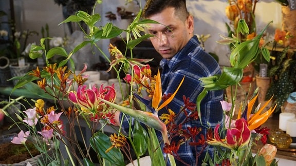 Ein Mann steht hinter einer Reihe bunter Blumen 