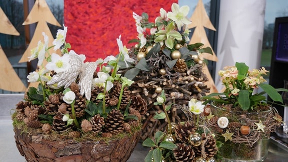Weihnachtliche deko für draußen - Der absolute Testsieger der Redaktion