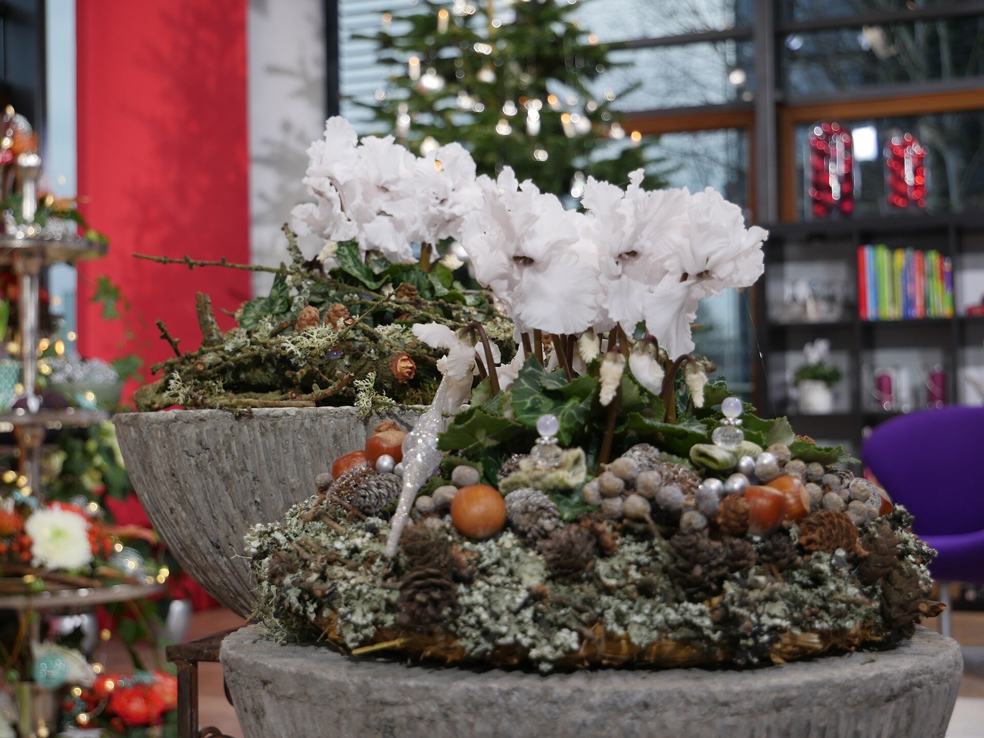 Weihnachtsfloristik für draußen MDR.DE