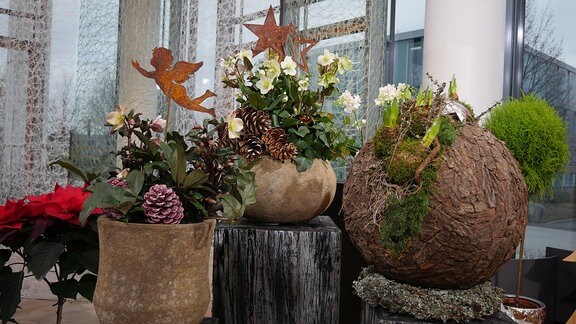 Rangliste der besten Weihnachtliche deko für den garten