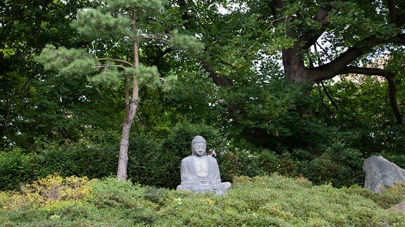 Der japanische Garten in Bad Langensalza. Ein Bonsai neben einer Buddha-Statue.    