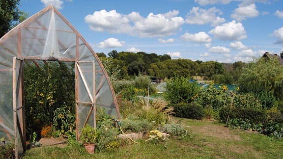 Gewächshaus mit Tomaten in der Permakultur-Gärtnerei Wildwuchs in Fernbreitenbach